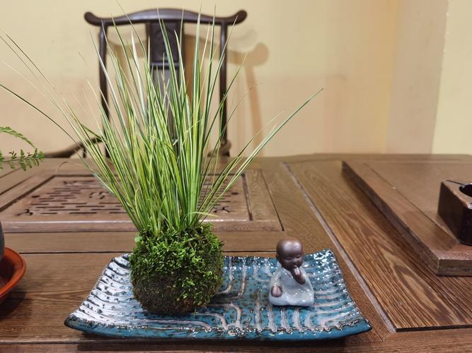 我們更換商品評價售后保障商品參數產品描述0重量【鮮花綠植租賃服務