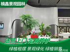 綠植租擺綠植租賃綠植批發園林綠化工程鮮花花卉批發鮮花布置綠化工程